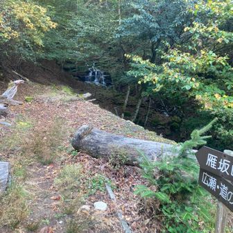 ここからようやく登山道