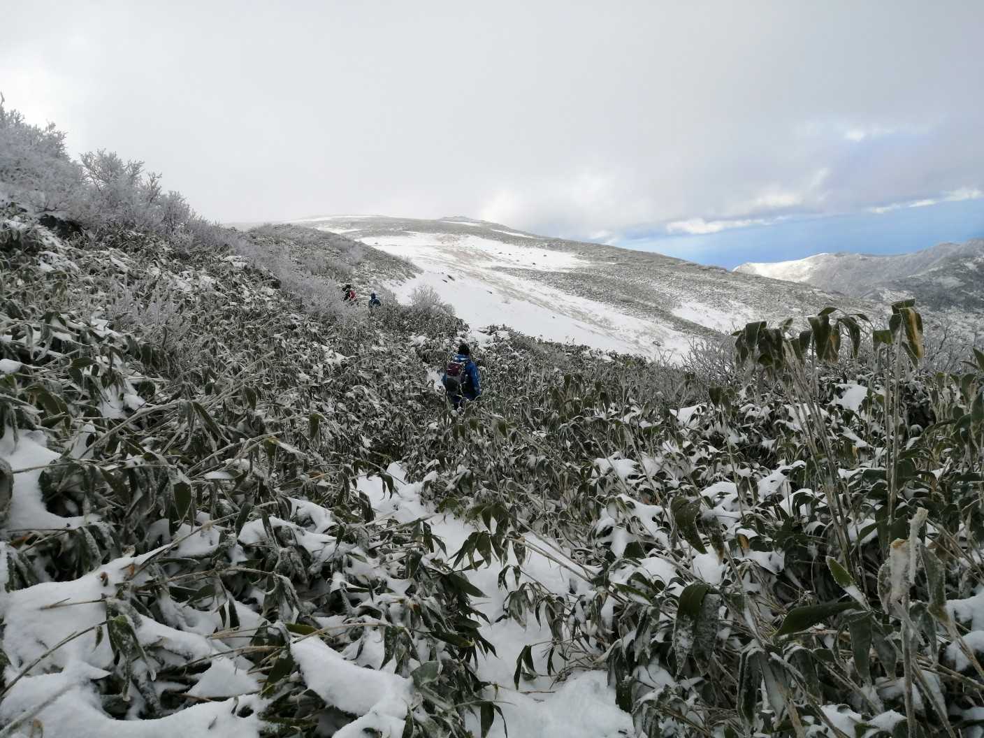 山頂はあそこかな？