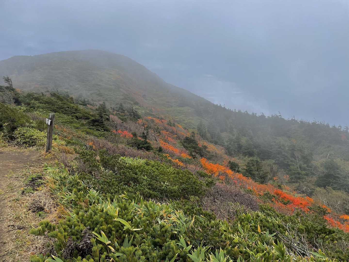 刈田峠-前山-杉ヶ峰-芝草平 往復コースの写真