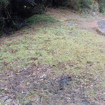 側道に数台とめれます