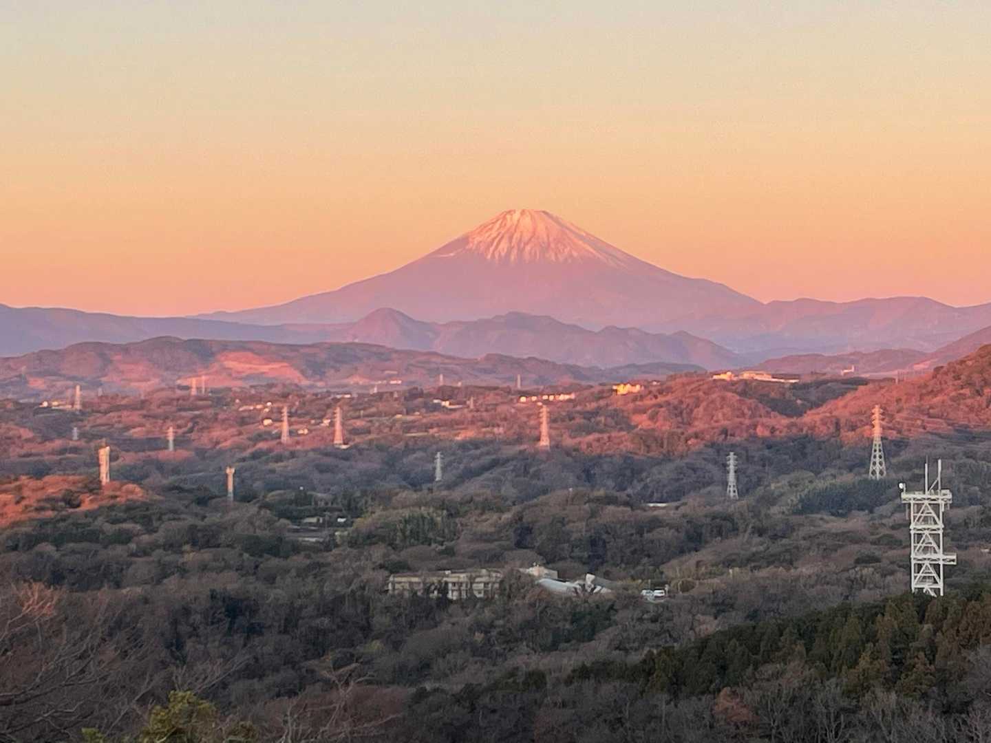 高麗山-浅間山 往復コースの写真