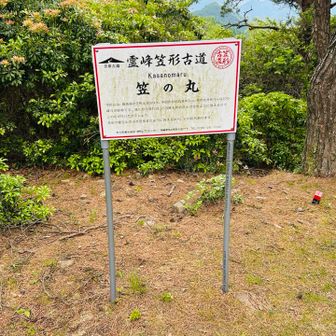 笠の丸。