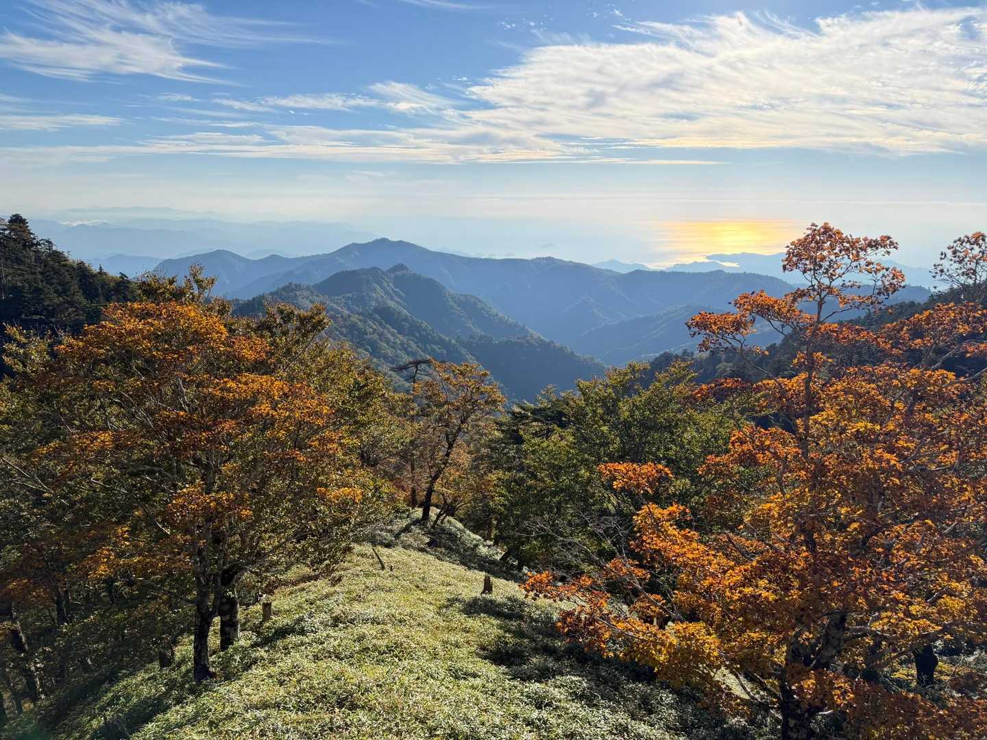 東大台コース | 白き立ち枯れの森が魅せる神秘の世界、初心者も感動する近畿の秘境の写真