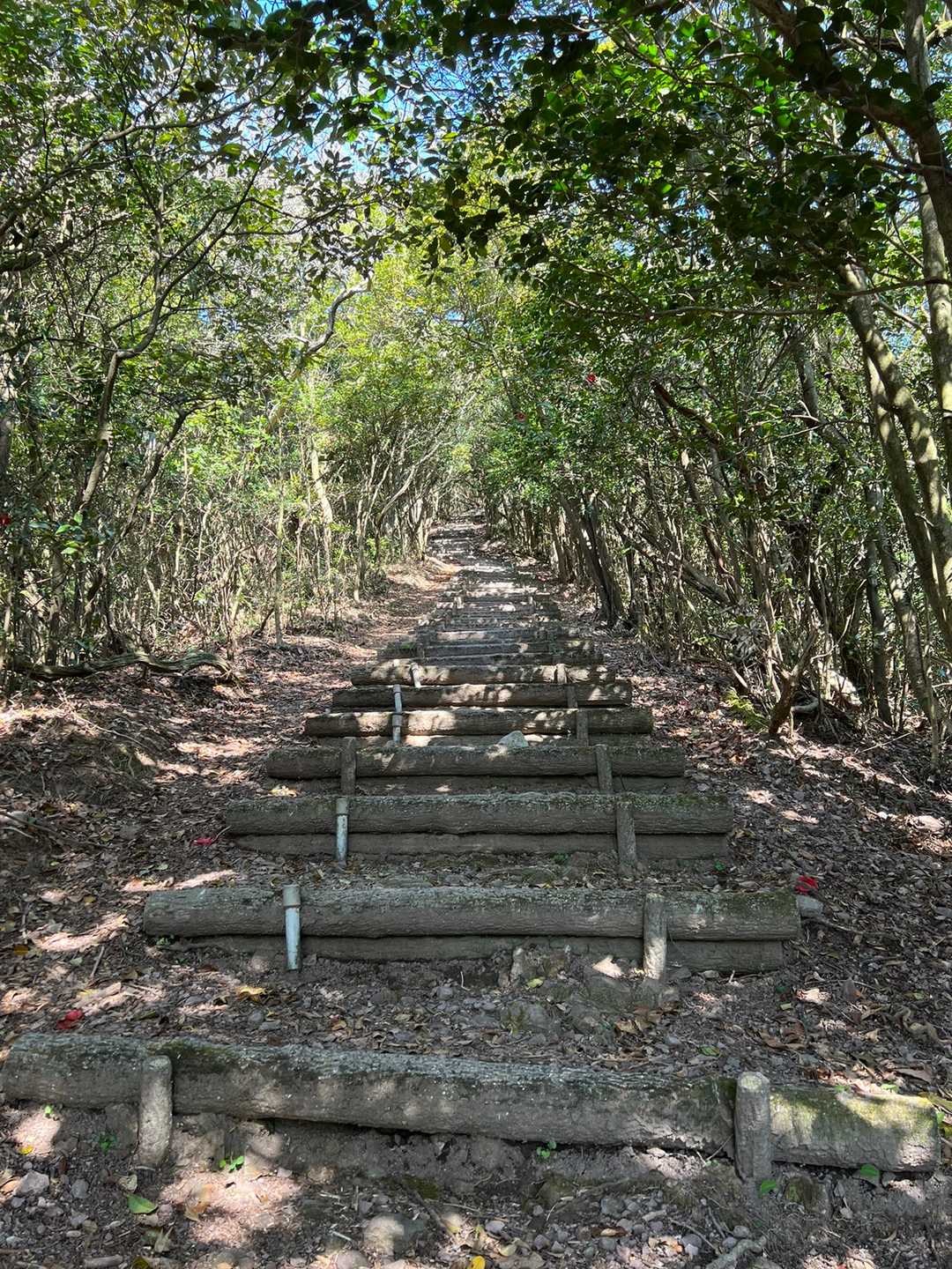 そしてまた階段