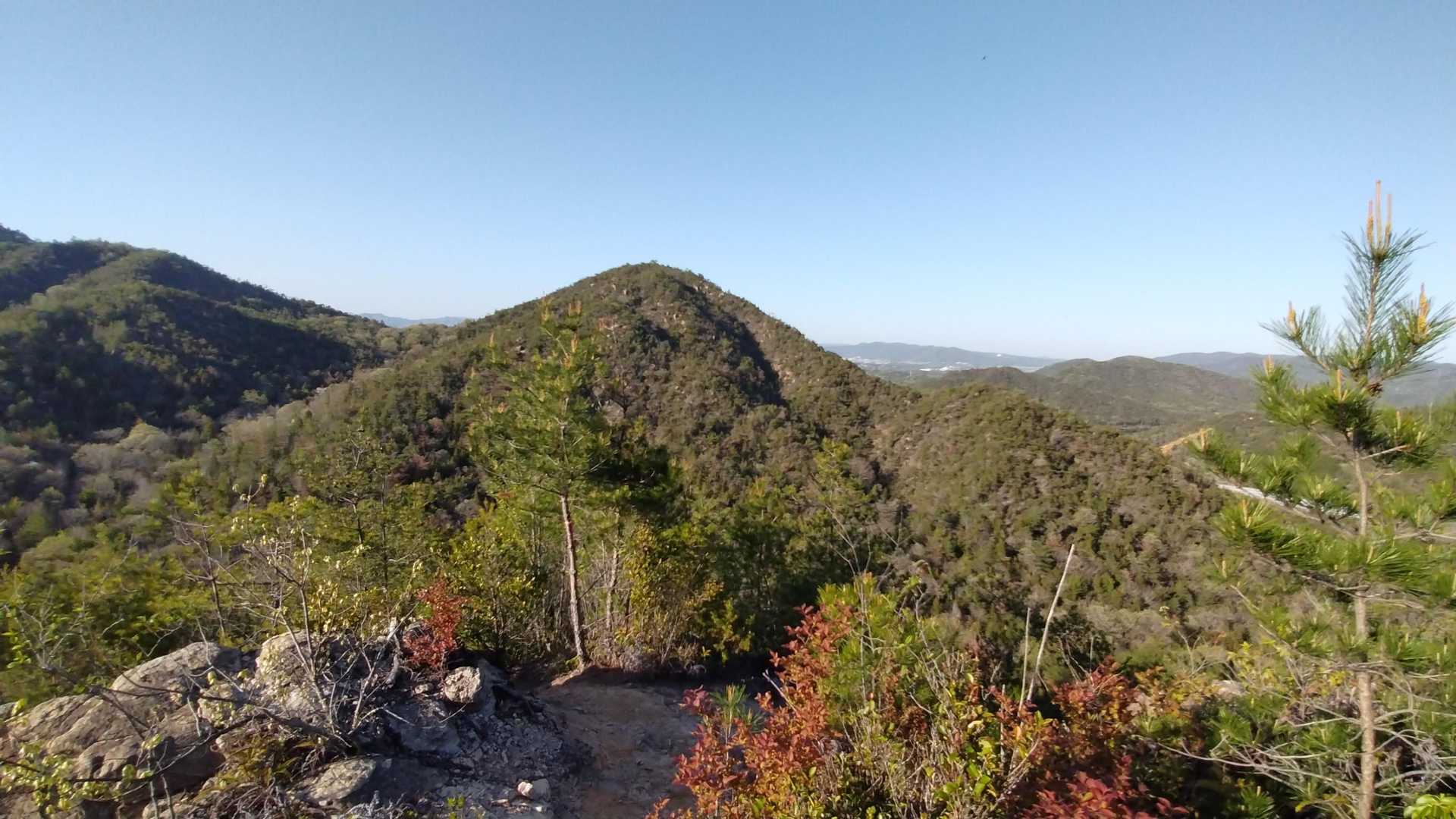 黒瀬ダム-向山登山口-向山-仏平山-仏平山南口-岩幕山-日 周回コースの写真