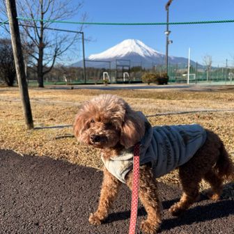 きらら駐車場から既に富士山圧巻！
年末は無料でした
ラッキー