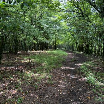 大岩に向かいます
