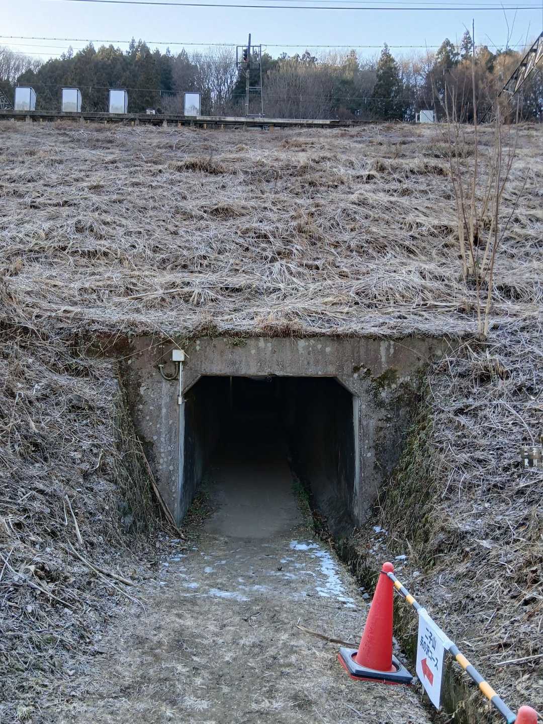 氷柱入口側に進入してしまいました。
氷柱出口側線路よりに進むとトンネルにスムーズ🙆

氷柱案内の方に、
あっち🫲
ロープくぐって
いってらっしゃい((🙋
声掛け頂き
ワタワタスタート🥾