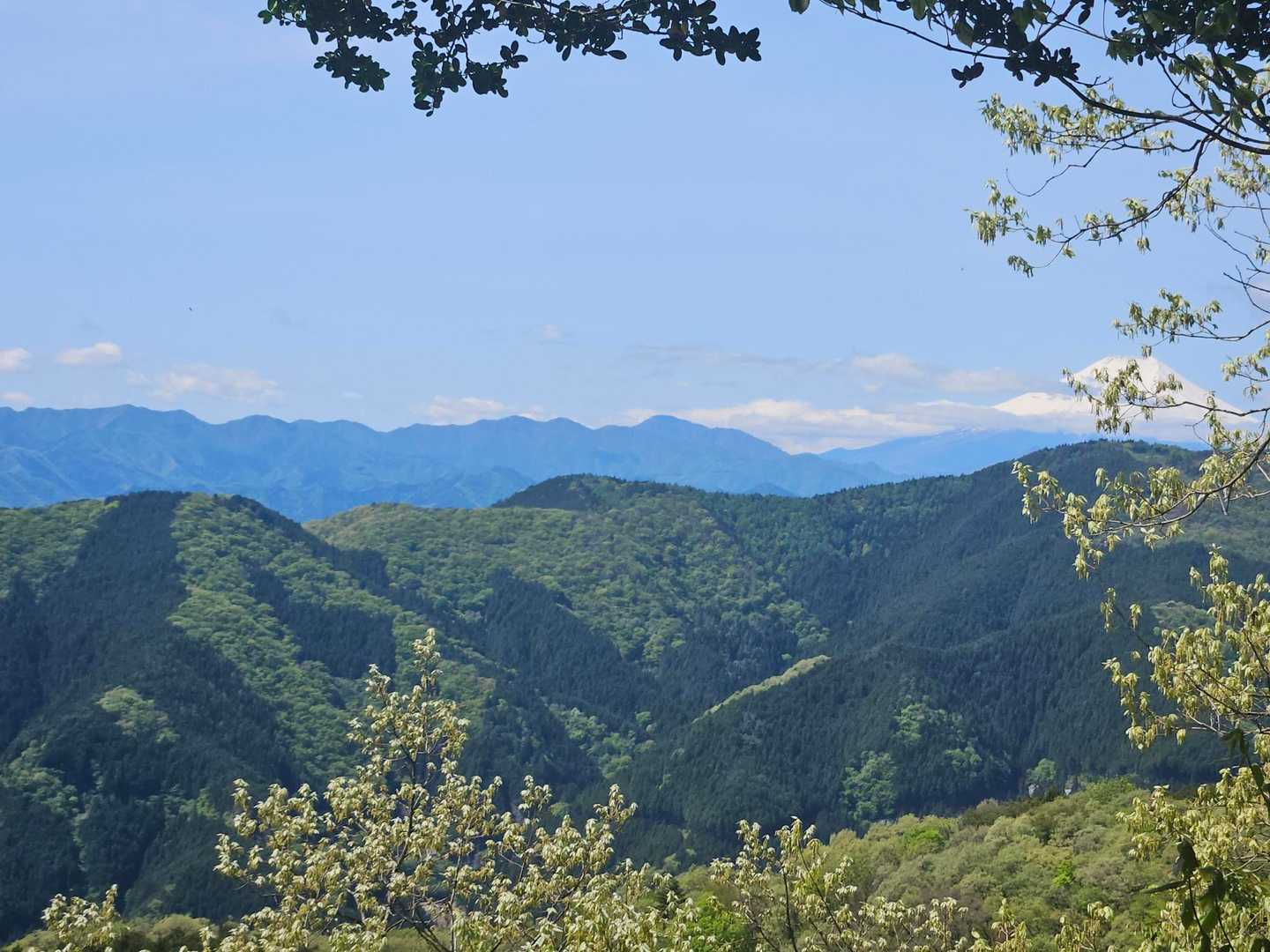 仲の平バス停-御林山-数馬峠-内台山-人里峠-浅間嶺-天領 縦走コースの写真