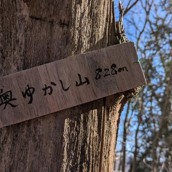 堂平山・笠山（乳房山）・大霧山 818峰
⛰️奥ゆかし山との山名板が