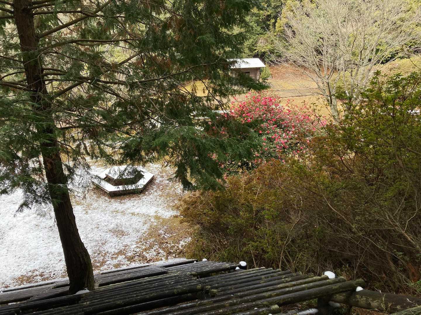 ここら辺に来るとうっすら雪が❄️残ってます