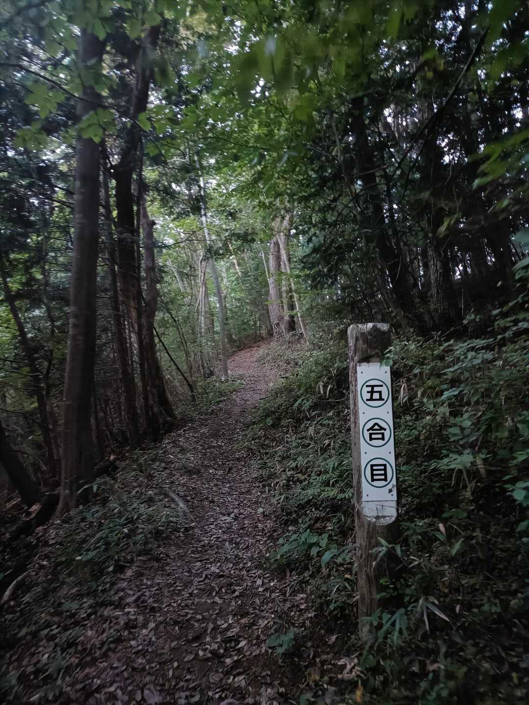 あっと言う間に五合目😅