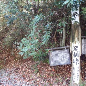 ここが足柄峠のランドマークじゃないの？あと50mほど先でした。