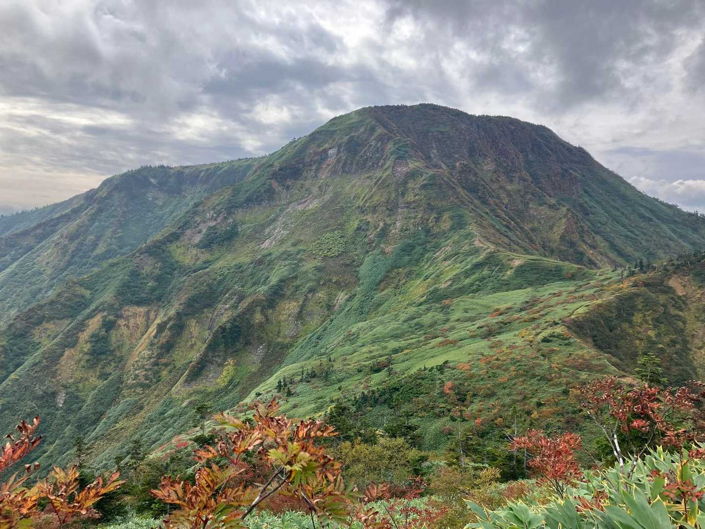 祓川コースの写真