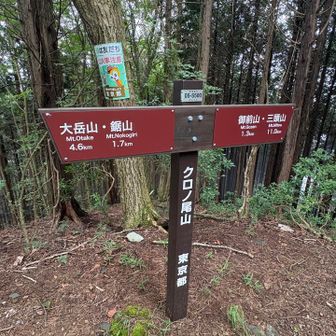 この道標の裏から出てきました