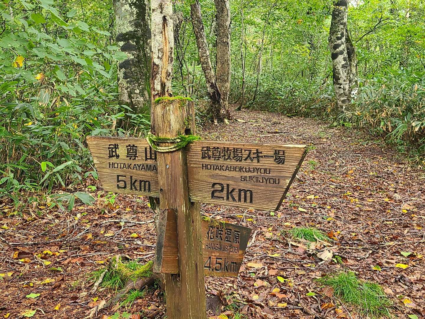 セビオス岳-武尊山 往復コースの写真