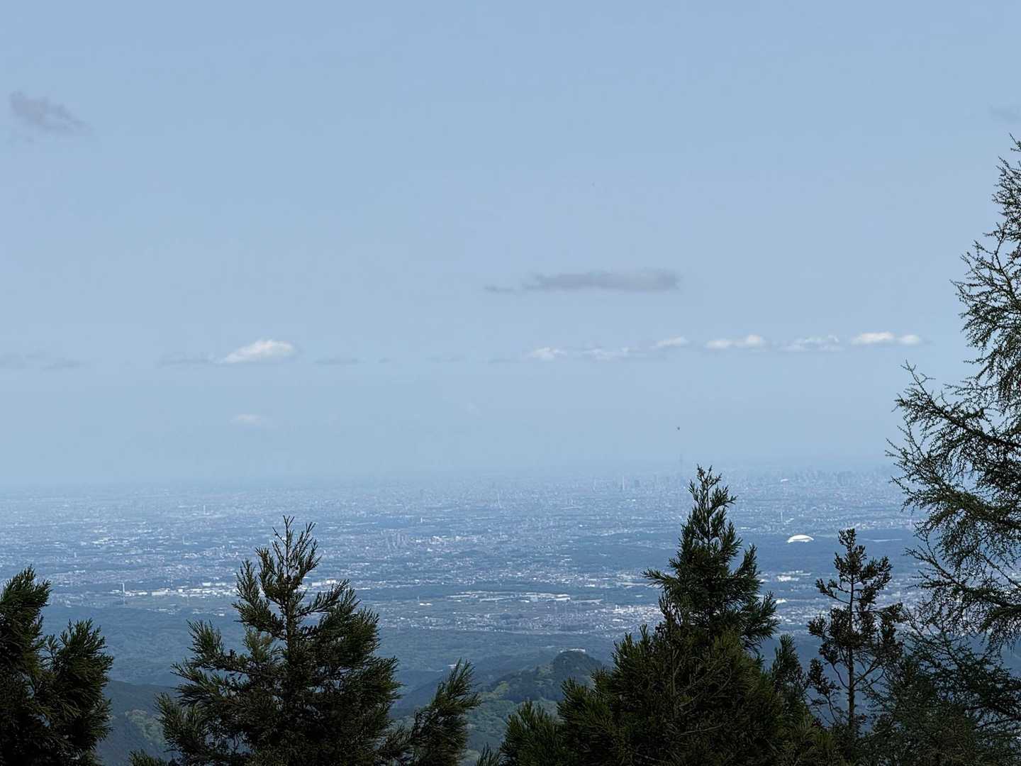 所沢方面