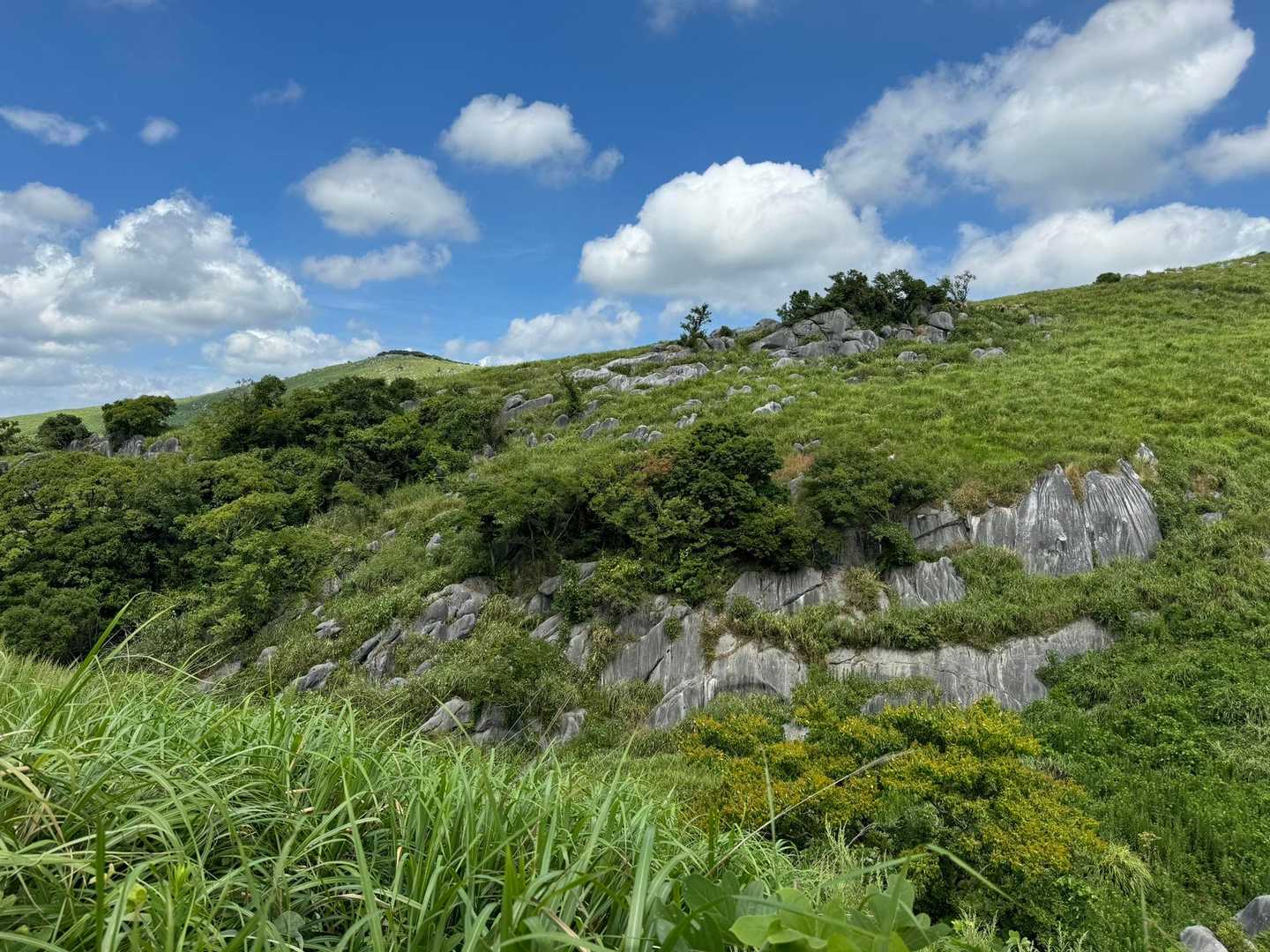 中峠-岩山 往復コースの写真