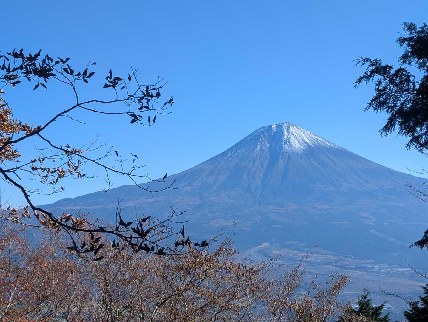 降りルートの途中からも🗻