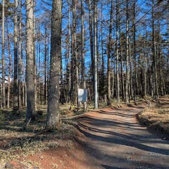 行きは雪がなかったけど、帰りは雪あった
