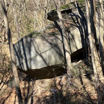 🪨クジラ石🪨