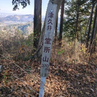 5つつ目のピーク