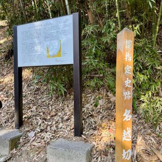 名越切通は、鎌倉から三浦半島方面へと通じ、東京湾を渡ってその先の安房（あわ：現在の千葉県南部）に渡る交通路として開削された