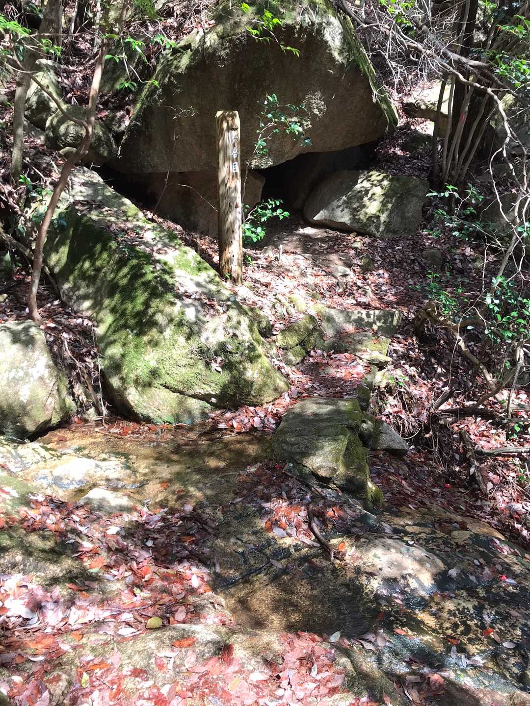 沢を渡ります