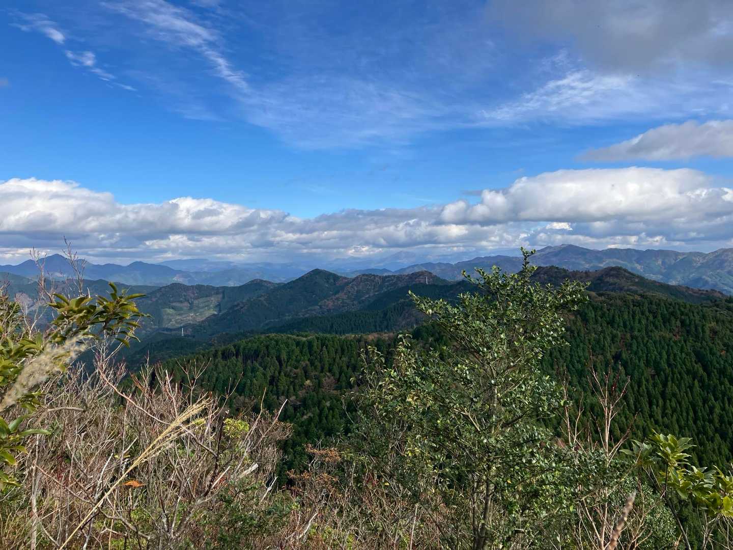 山口登山口-山口越-三国山-国見山 周回コースの写真