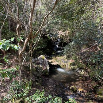 この川もダムに流れて行くのかな。