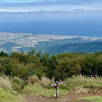 下山開始
少し降りたところで絶景が…！
小田原の街と相模湾！