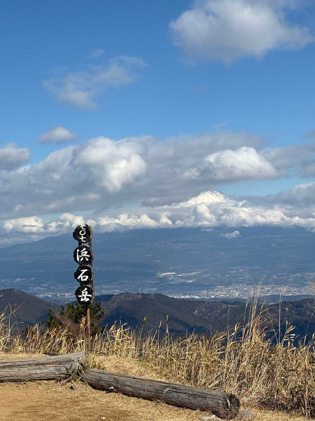 上が見た〜い😃