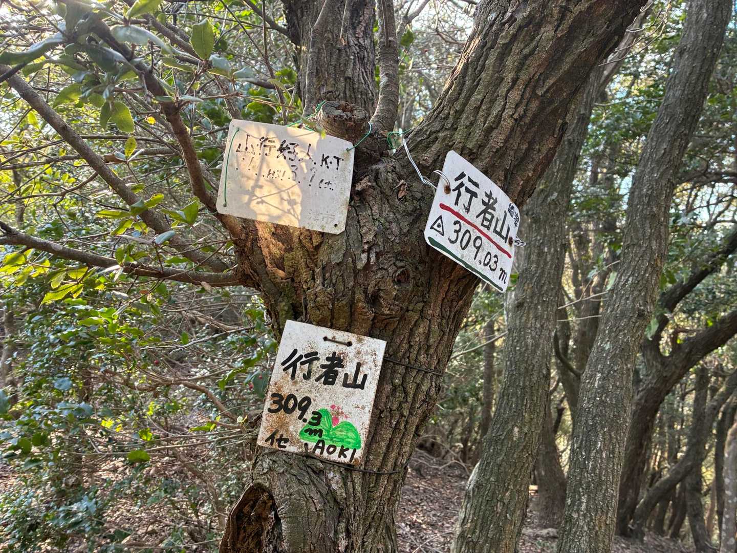 船津行者山頂上
