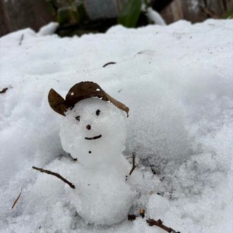 藻岩山のモイ君☃️