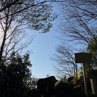 御門跡、春の日差し