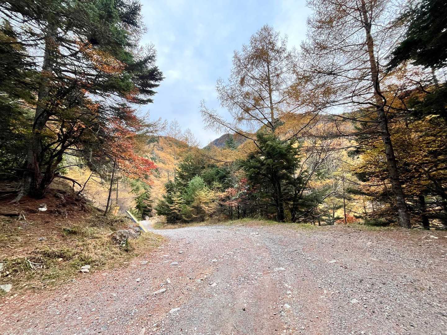 桜平ゲート-桜平登山口-根石岳 周回コースの写真