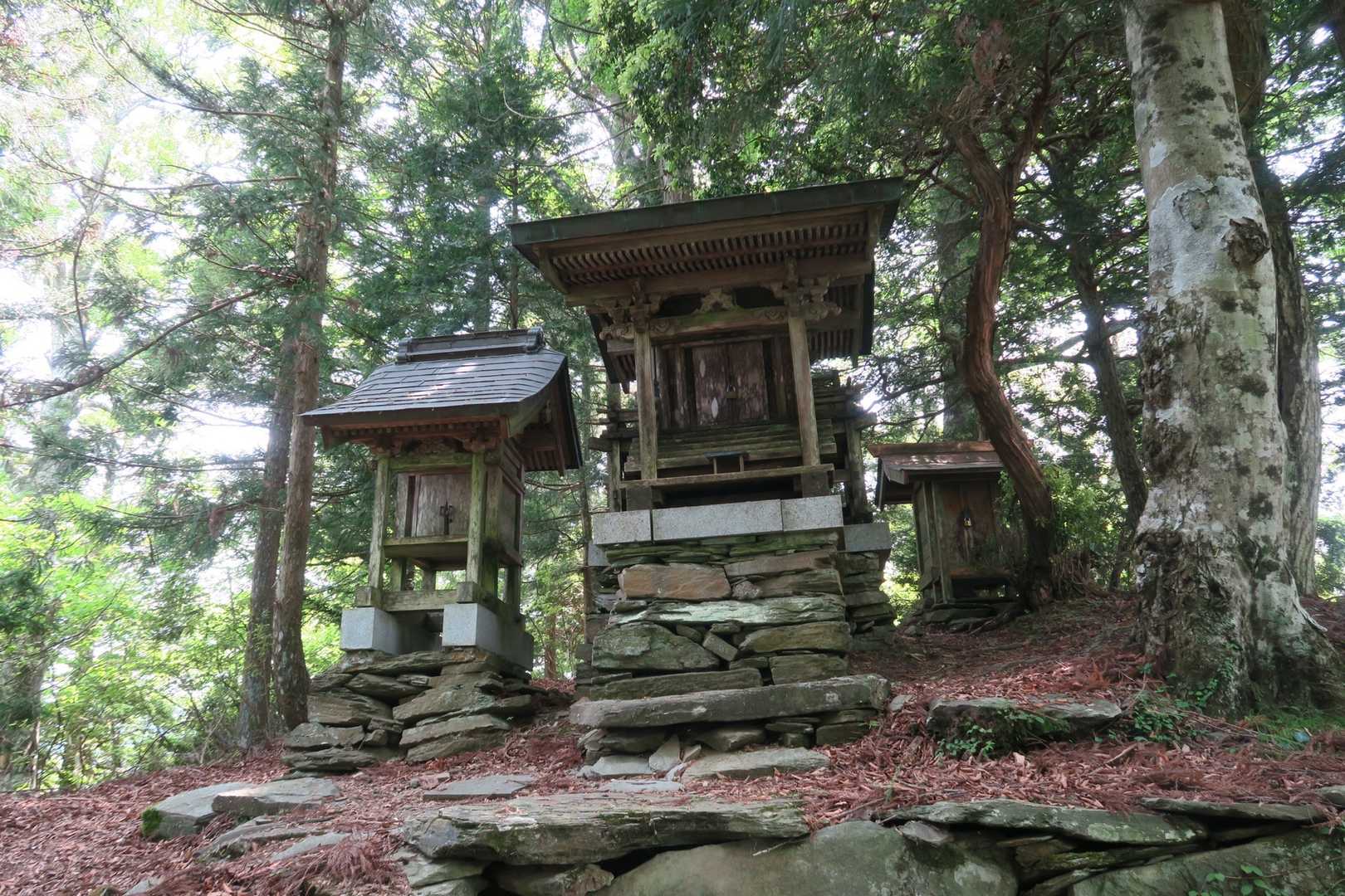 高越山登山口-高越山-高越寺 往復コースの写真