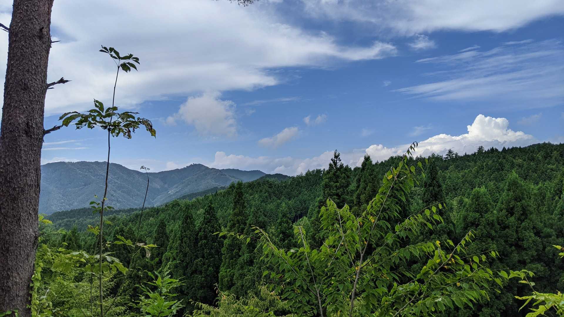 大空山-富栄山 往復コースの写真