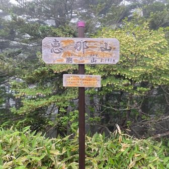 そして山頂