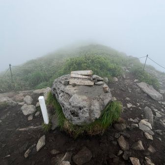 月山2回目の登頂。ガッスガス😆
