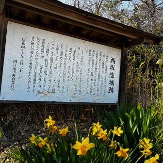 (　・ω・)ﾌﾑﾌﾑ