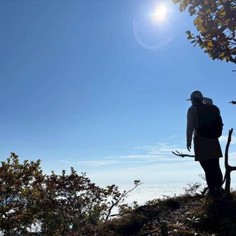 となりのまゆこさん