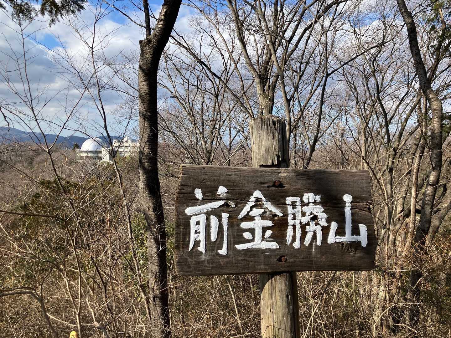 前金勝山 山頂