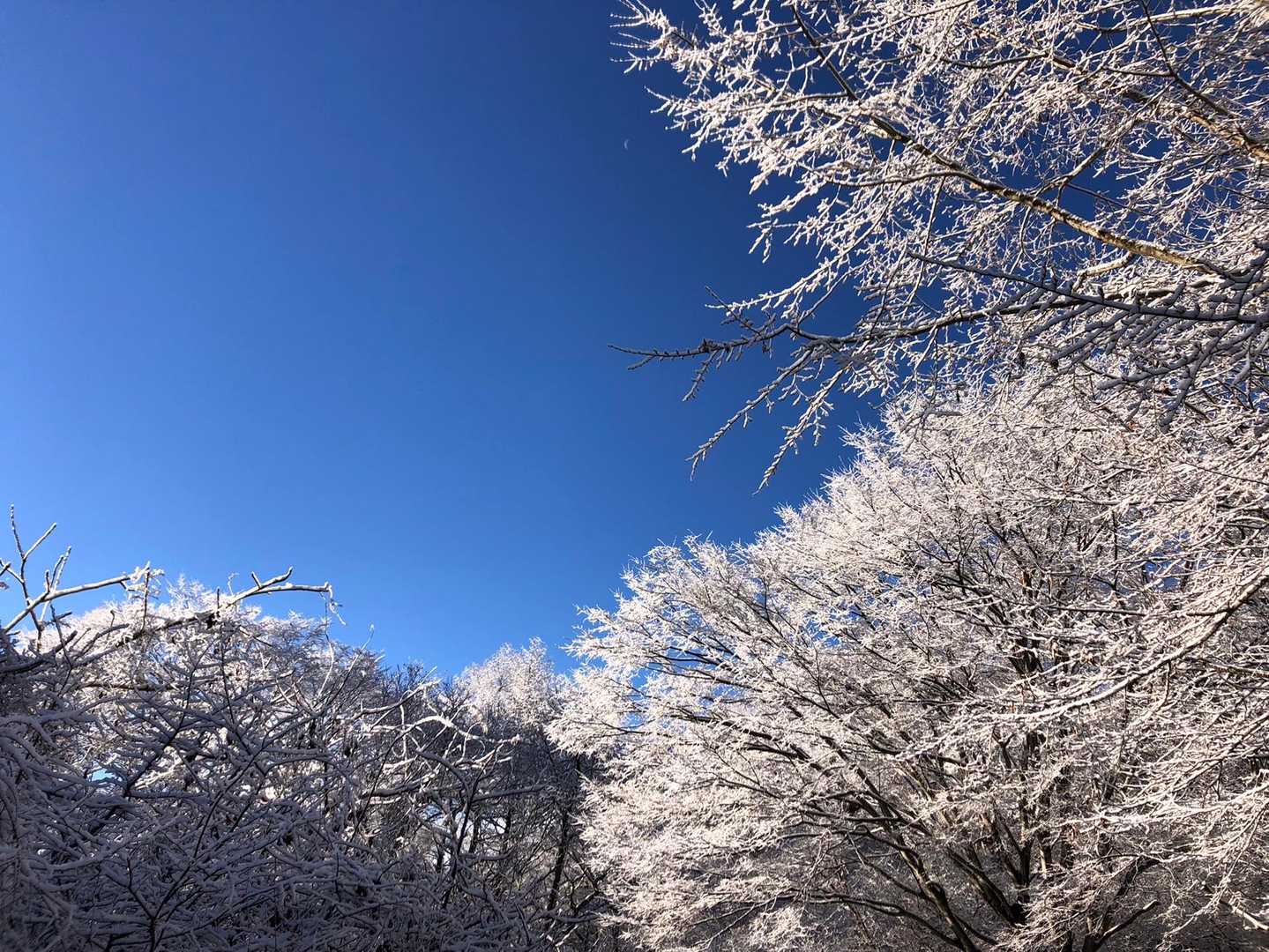 杓子山（鳥居地峠）の写真