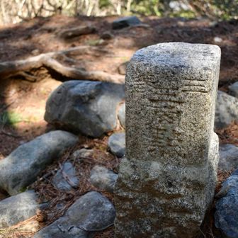 お約束の三角点