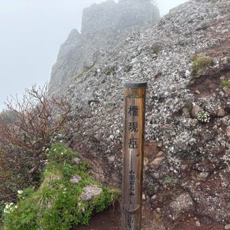 なんとか権現岳に到着…してないんですね
山頂はこの奥の岩の上。