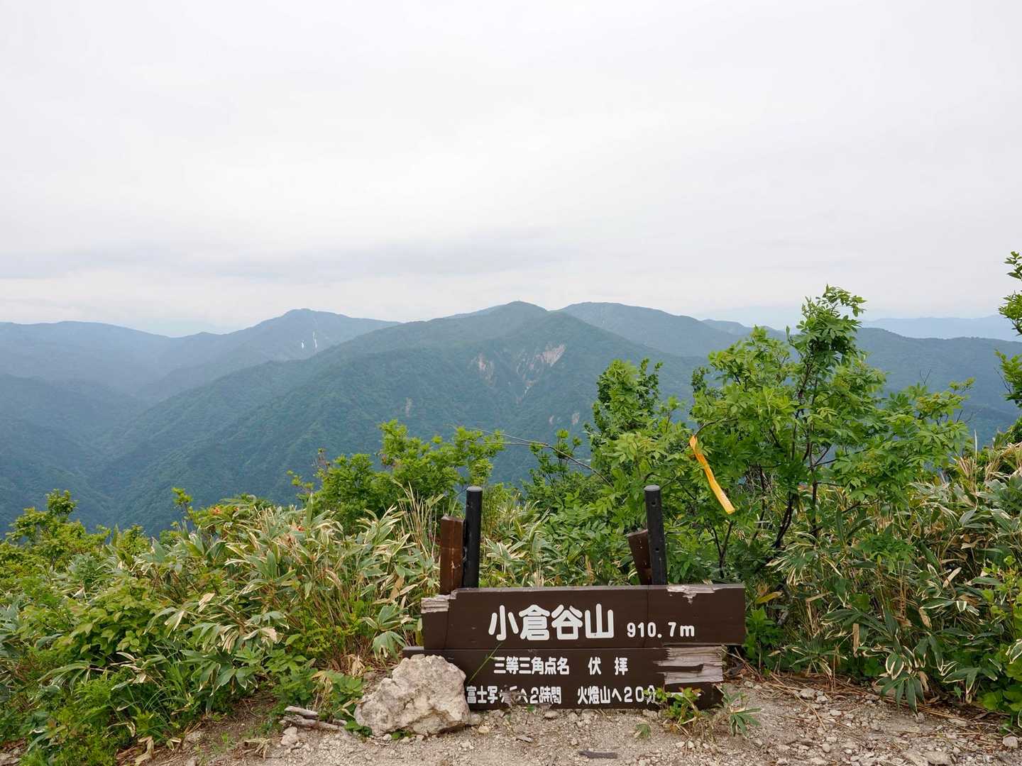 小倉谷山の山頂