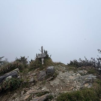 羽アリ大量発生