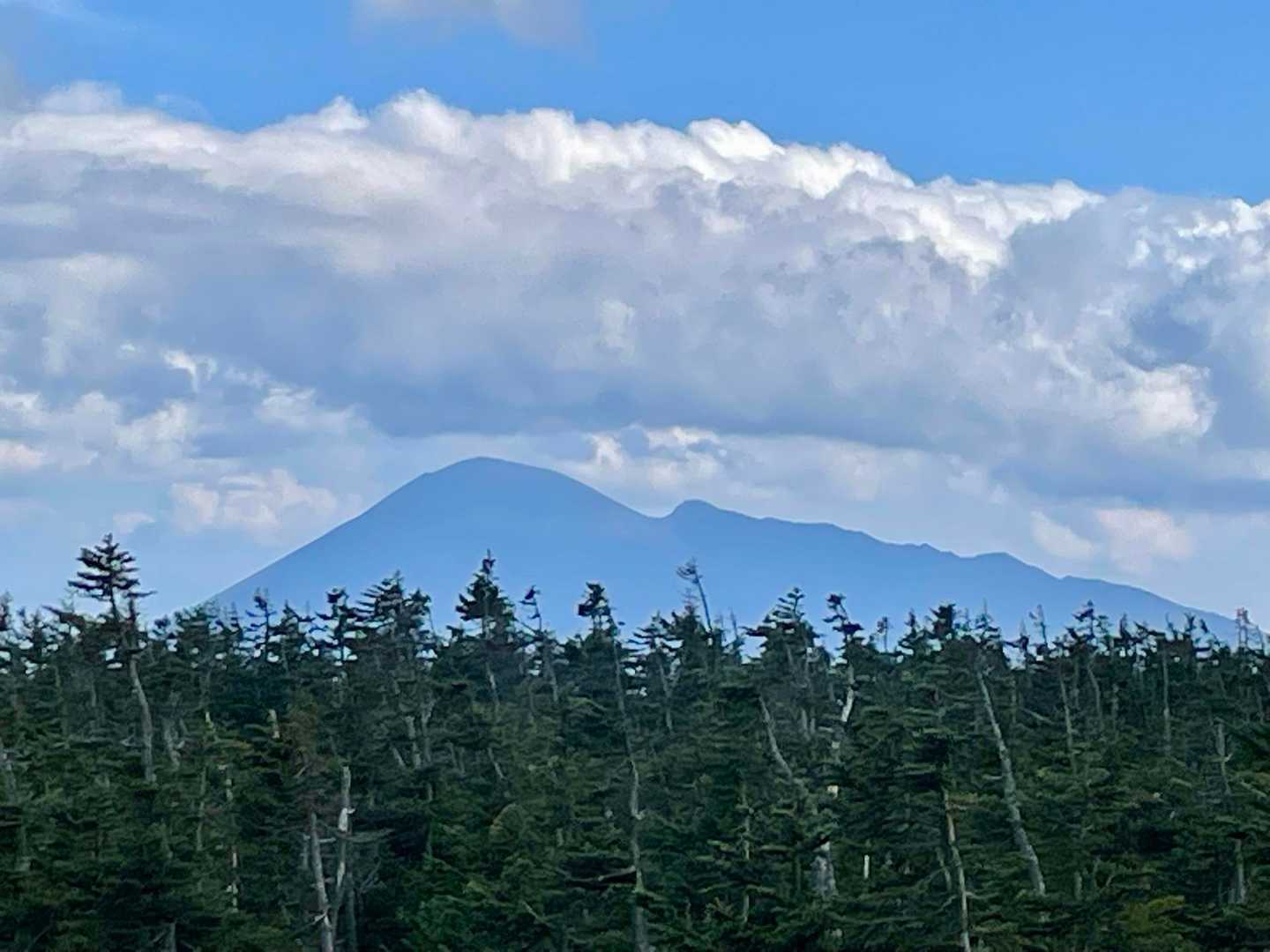 岩手山⛰️          緑に浮かぶ　岩手山