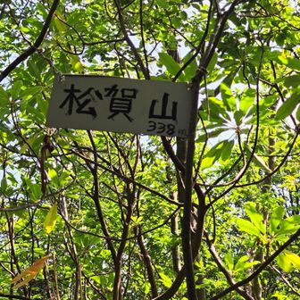 日陰に入ると涼しくほっとするが…